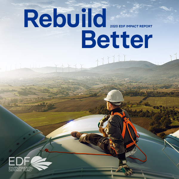 2020 EDF Impact Report cover image