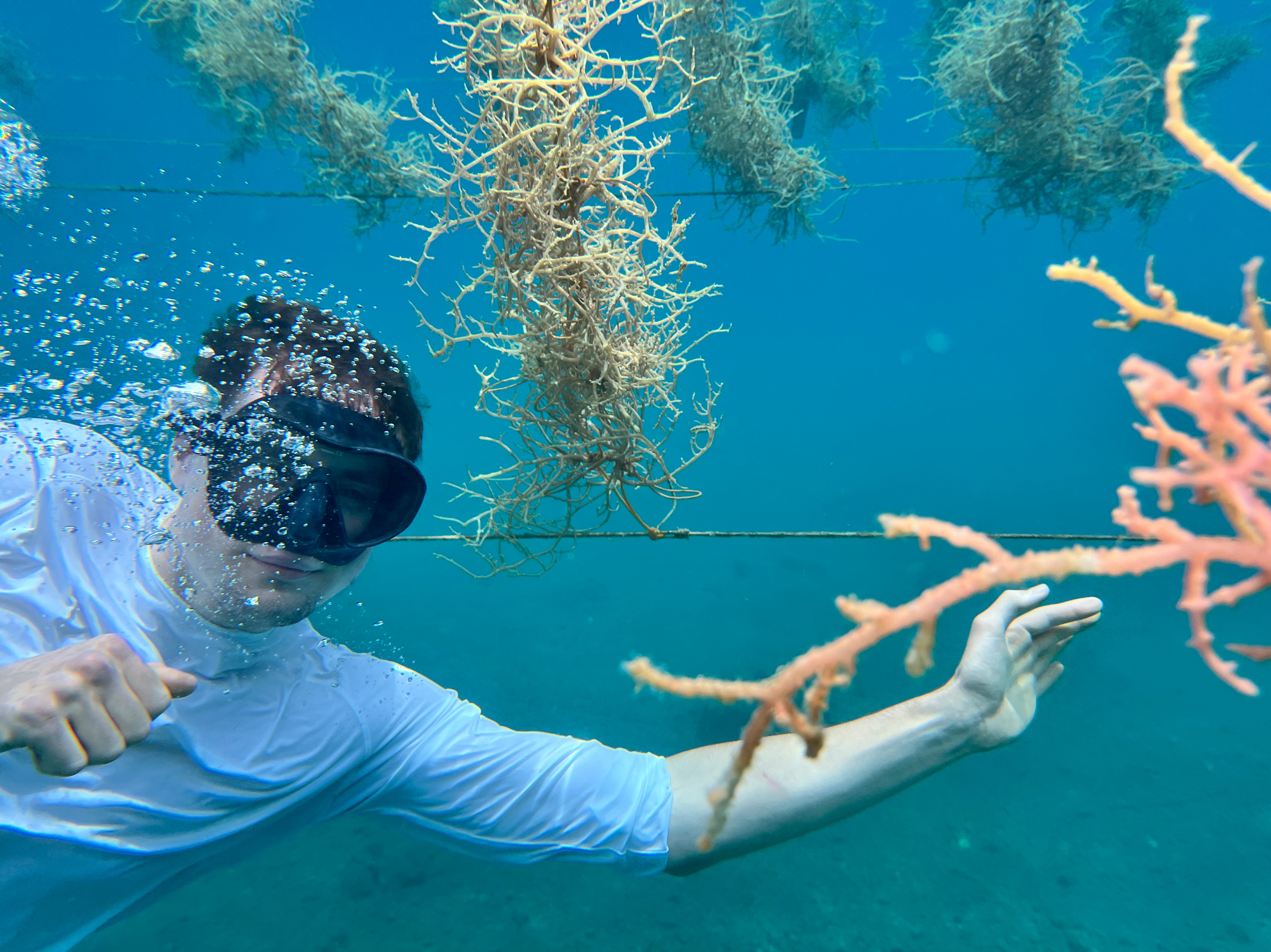 EDF High Meadows Fellow Ben Fasciano diving in the Philippines