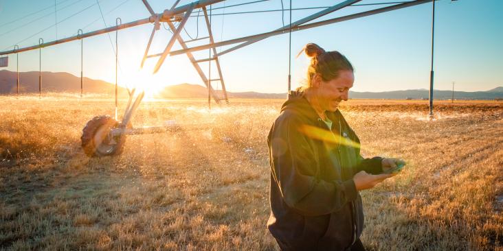 Denise Moyle uses an online platform called OpenET to check water use on her Nevada farm
