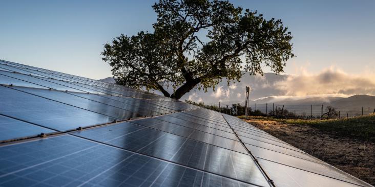 Solar panels with tree and mountains in background
