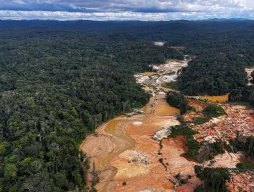 An illegal gold mining operation, viewed from overhead, cuts a scar through a forest.