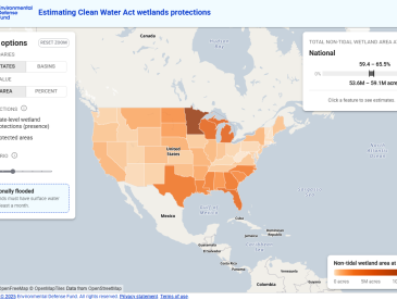 Estimating Clean Water Act wetlands protections interactive tool screenshot